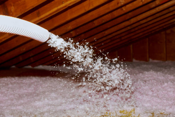 Best Energy-efficient Insulation  in Pardeeville, WI