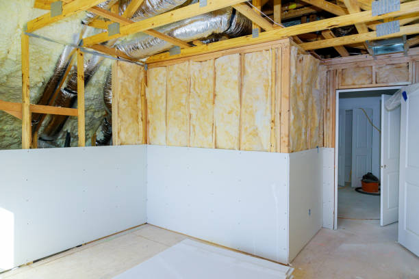 Best Cellulose Insulation  in Pardeeville, WI