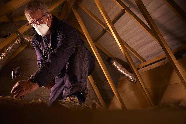Best Best Insulation Companies  in Pardeeville, WI